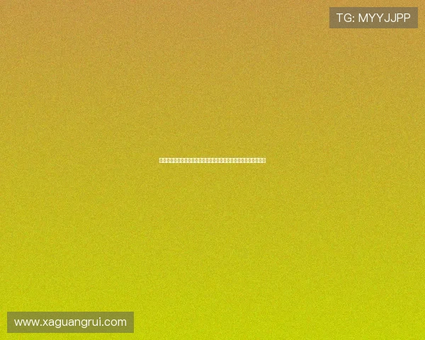 梅斯城市发展与历史文化的融合探析及其在现代化进程中的独特地位