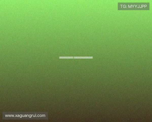 英超历史最年轻球员诞生 令人瞩目的足球新星展现无限潜力